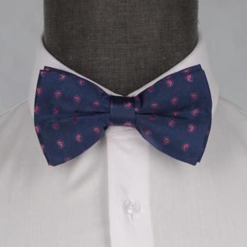 Бабочка мужская 0154