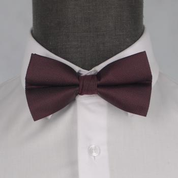 Бабочка мужская 0178