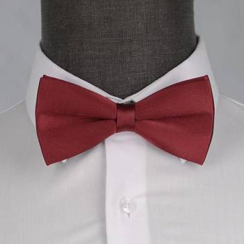 Бабочка мужская с платком 0153